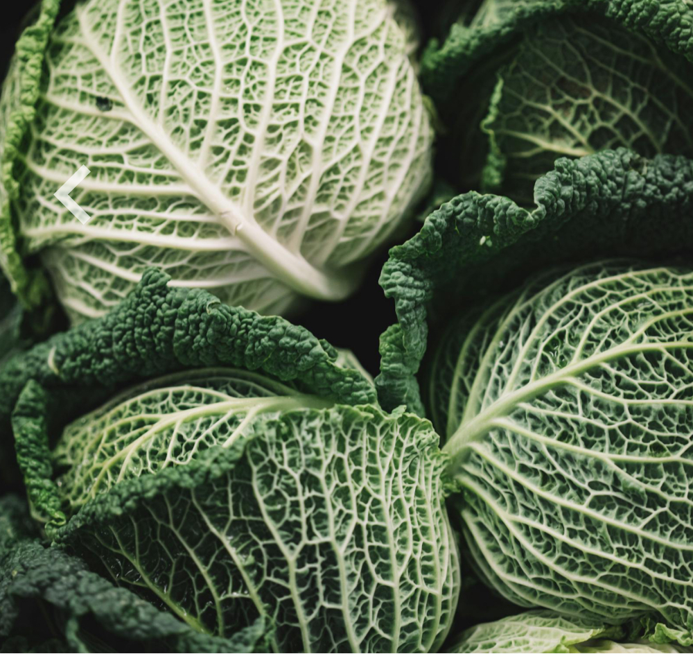 Benefits of Eating Cabbage