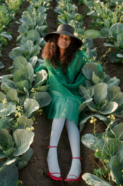 Benefits of Eating Cabbage